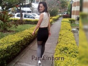 PamEinhorn