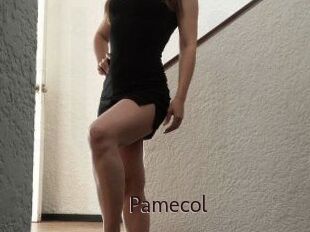 Pamecol