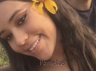Pamela6
