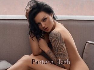 Pantera_Flash