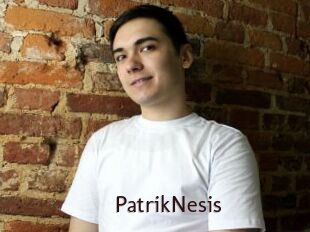 PatrikNesis
