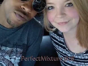 PerfectMixture3828