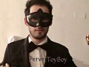PerverToyBoy