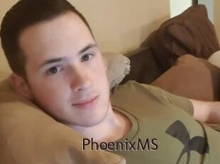 PhoenixMS
