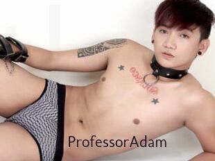ProfessorAdam