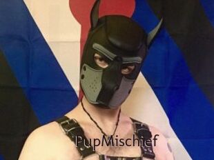 PupMischief