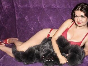 Puse