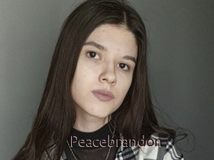Peacebrandon