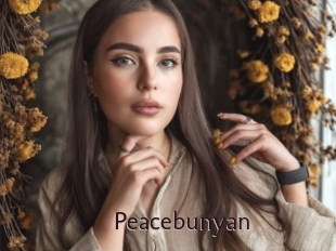 Peacebunyan