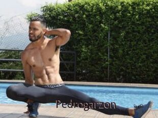 Pedrogarzon