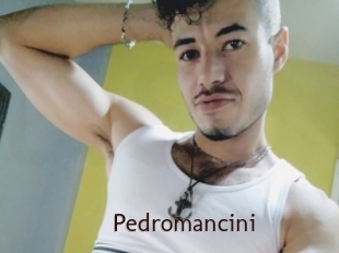 Pedromancini