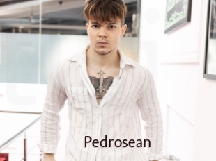pedrosean Top listen server