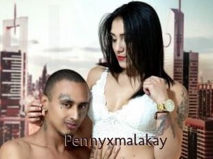 Pennyxmalakay
