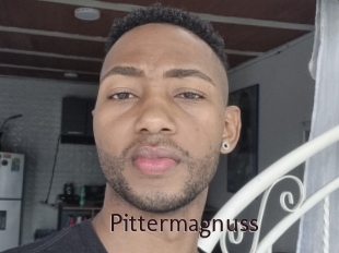 pittermagnuss Top listen server