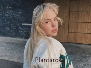 Plantarosa