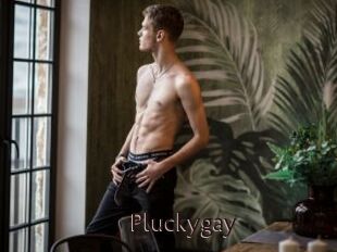 Pluckygay