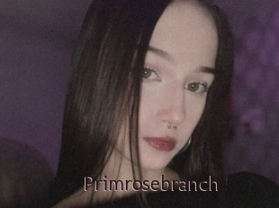 Primrosebranch