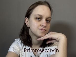 Primrosecarvin