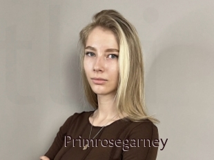 Primrosegarney