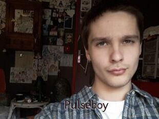Pulseboy