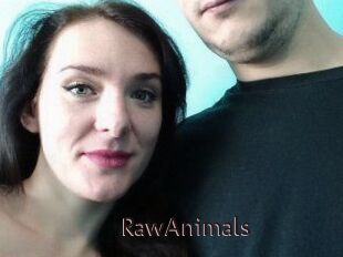 RawAnimals
