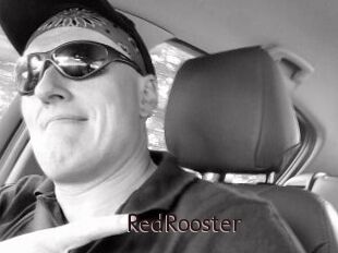 RedRooster