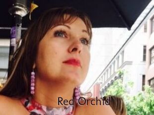 Red_Orchid