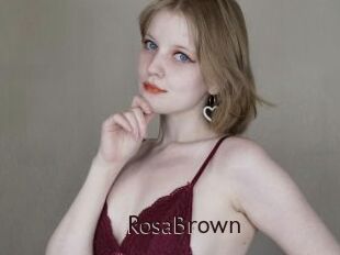 RosaBrown