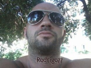 Rodrigo77