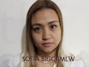 SOFIA_BIGCUMLW