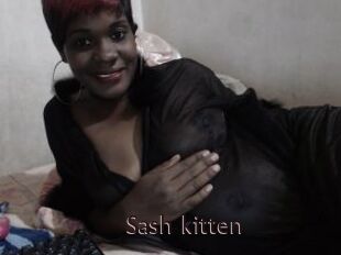 Sash_kitten