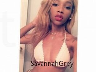 Savannah_Grey
