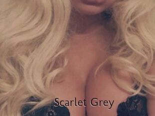 Scarlet_Grey
