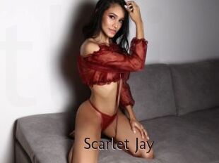 Scarlet_Jay