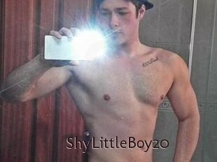 ShyLittleBoy20