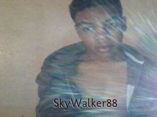 SkyWalker88