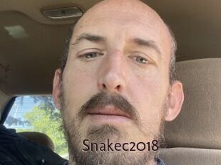 Snakec2018