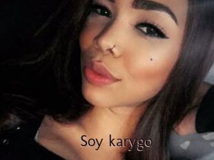 Soy_karygo