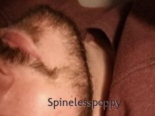 Spinelesspoppy