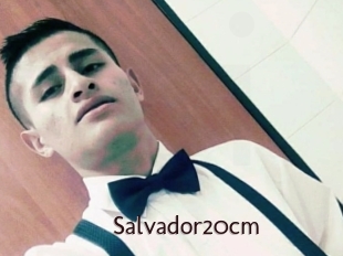 Salvador20cm
