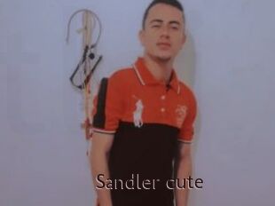 Sandler_cute