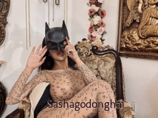Sashagodonghai