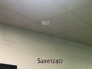Saxe1240