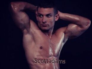 Scottadams