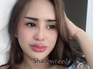 shadowreed Top listen server