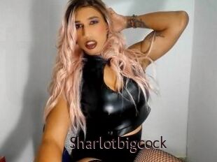 Sharlotbigcock