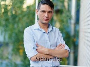 Sid_incube