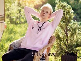 Silkydave