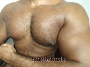 smellofmale Top listen server