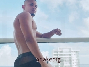 snakebig Top listen server